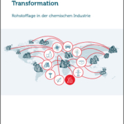 Publikationen Zukunftperspektiven Transformation Rohstofflage20230920